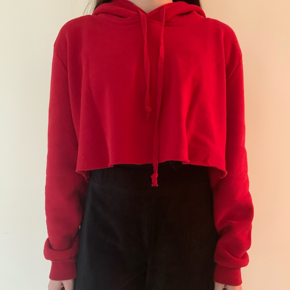 Brandy Melville Cropped Hoodie